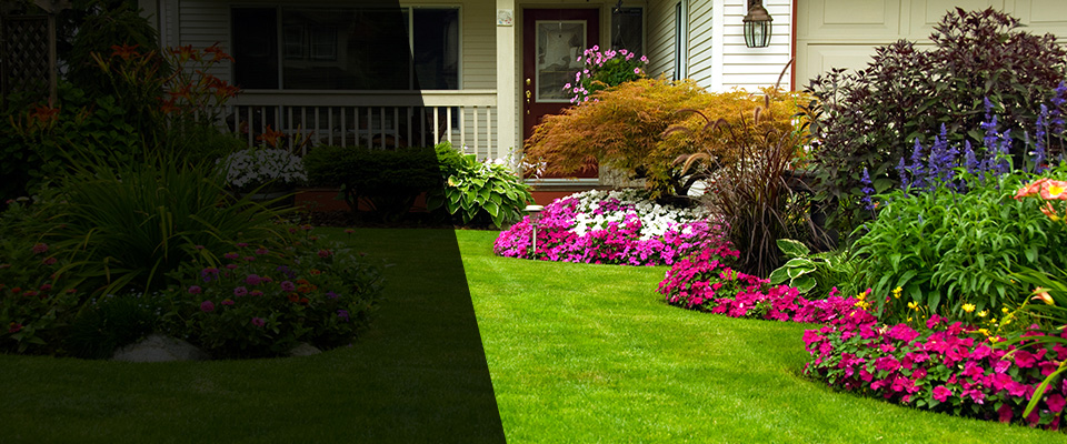 Federal Dam Landscapers