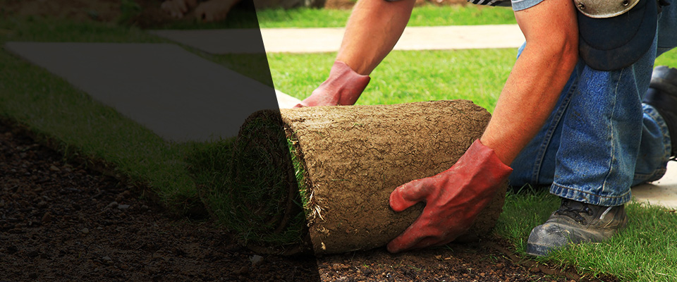 Federal Dam Landscapers